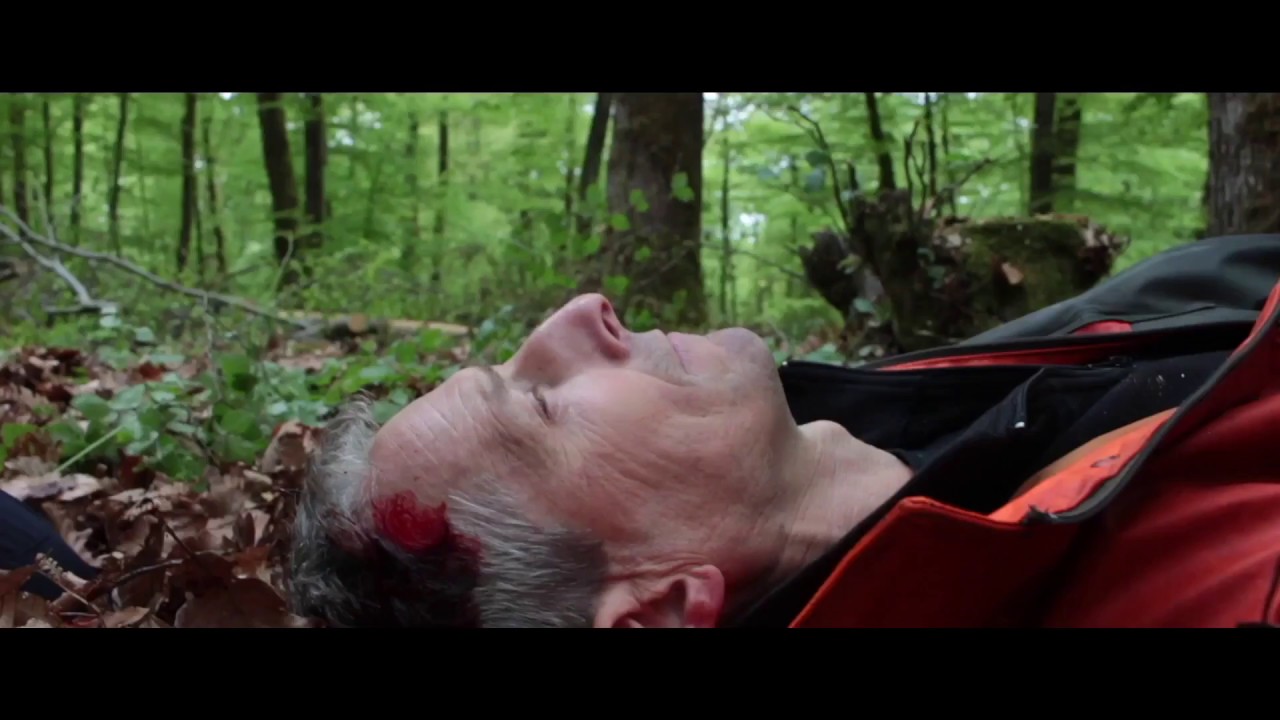 Les accidents de bûcheronnage  - Vidéo n°3  