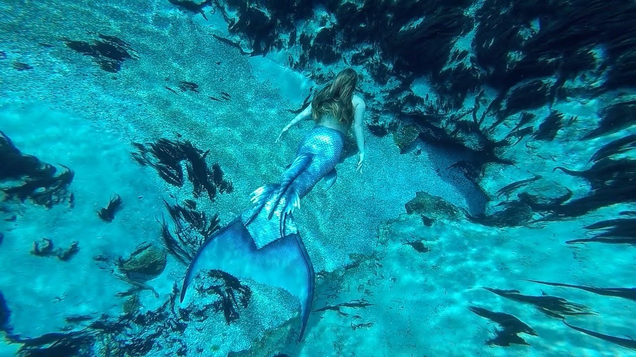 Mermaid Spotted Swimming In A Beautiful Lagoon