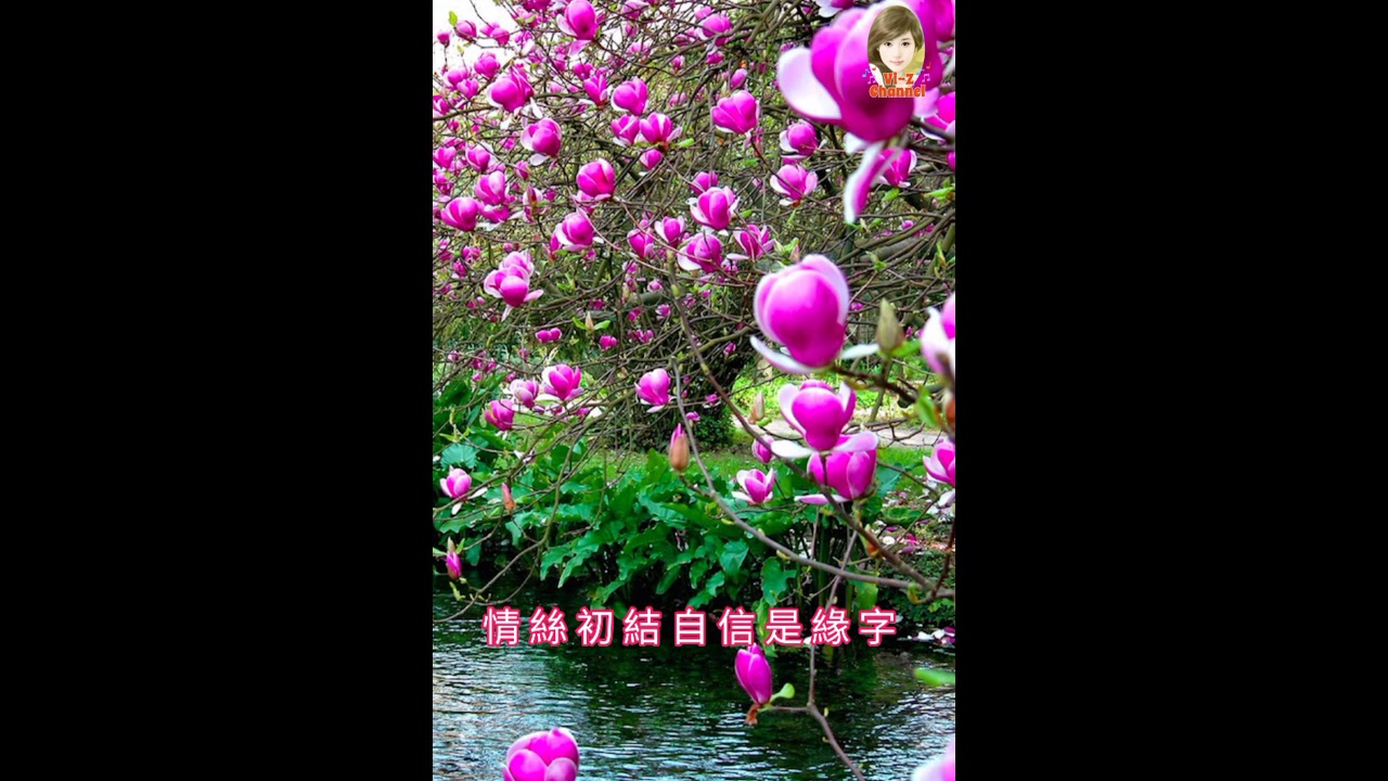 一 剪 梅（ Yi  Jian  Mei )（ 國語版同粵語版 Version  Mandarin & Cantonese )🎶連歌詞 with  Lyrics 🎶