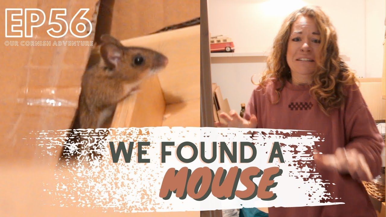 EP56- clearing out the caravan // Our Cornish Adventure