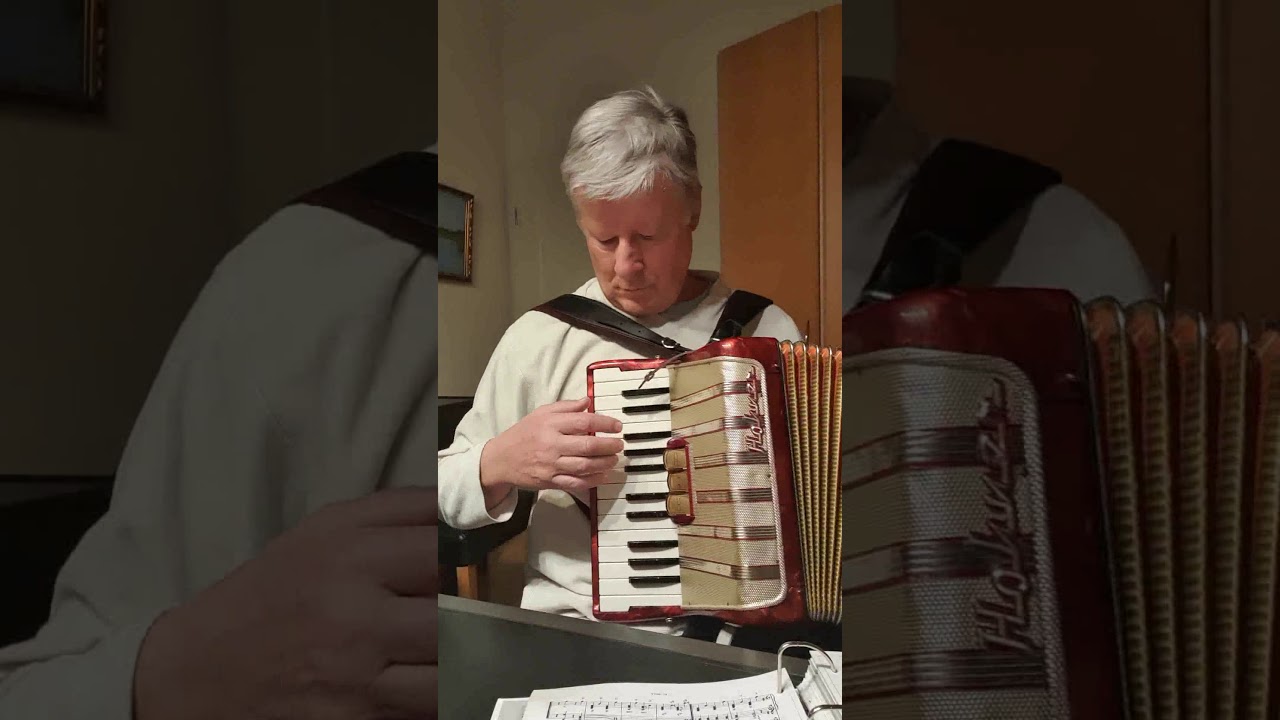 Marmor Stein und Eisen bricht - Akkordeon Concerto I