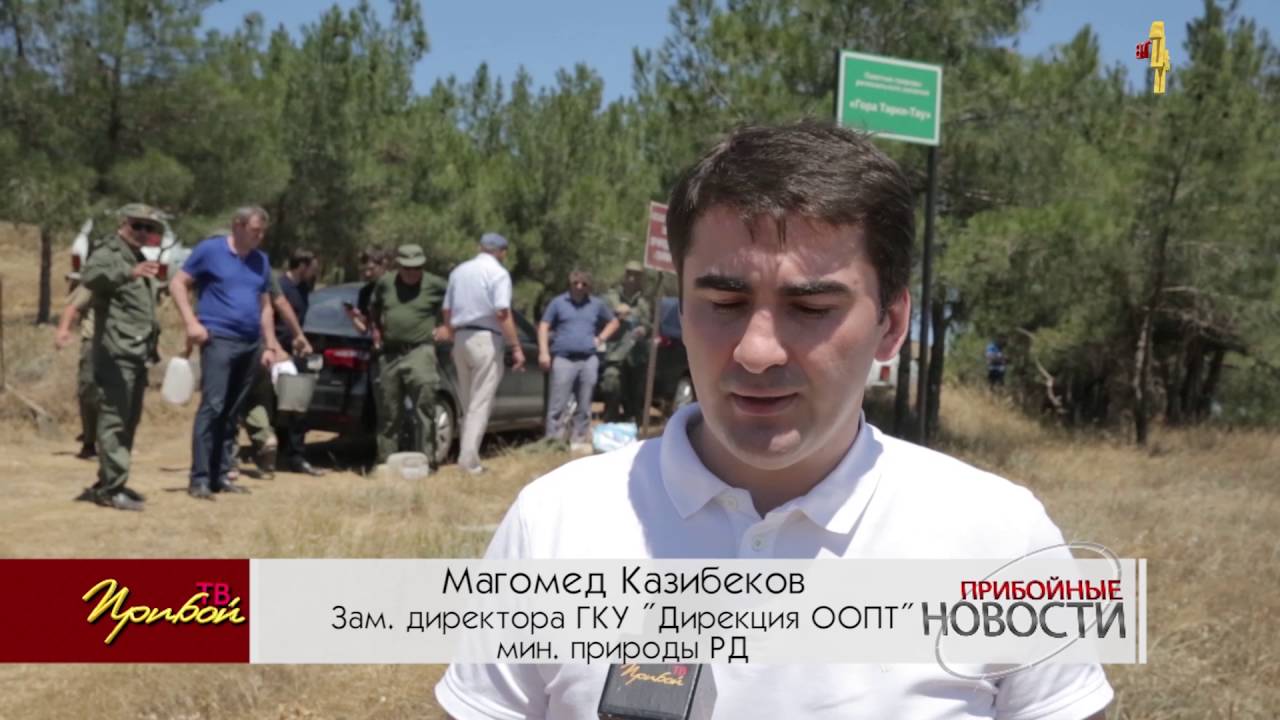 Гора 