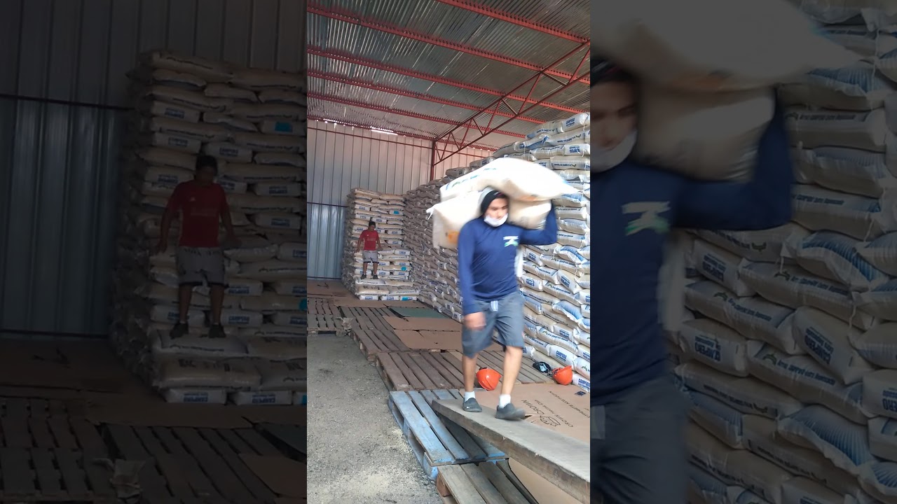 lo estivas descargando  sacos de arroz