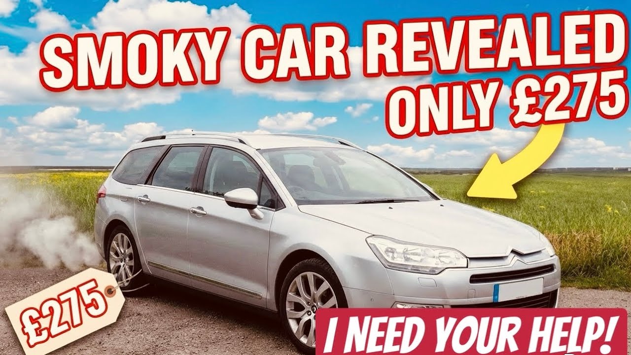Citroen c5 Bargain or Bust? Unsolved problem! 