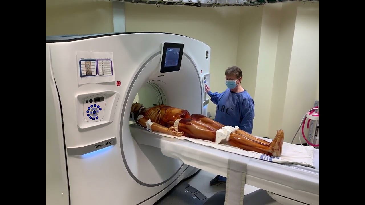 Adult Full Body with Muscles Clinical Application