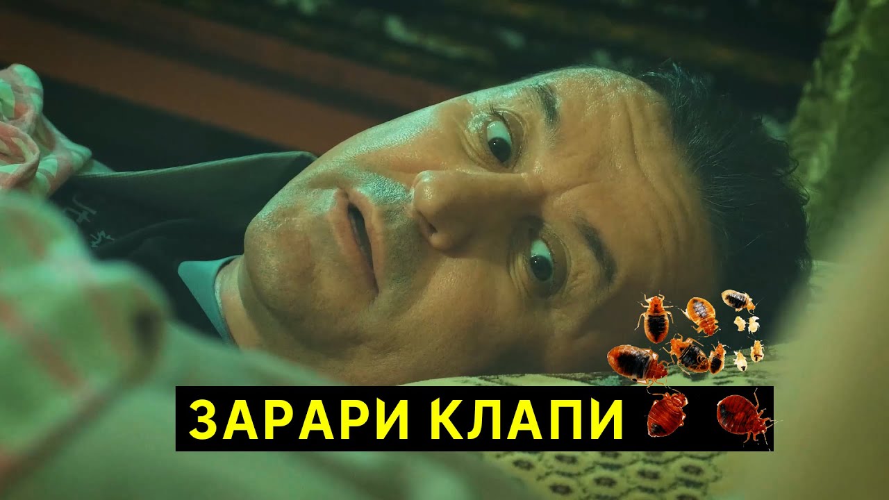 Тарзи нест кардани Клапи - Ташриф ва амаки Қррбун