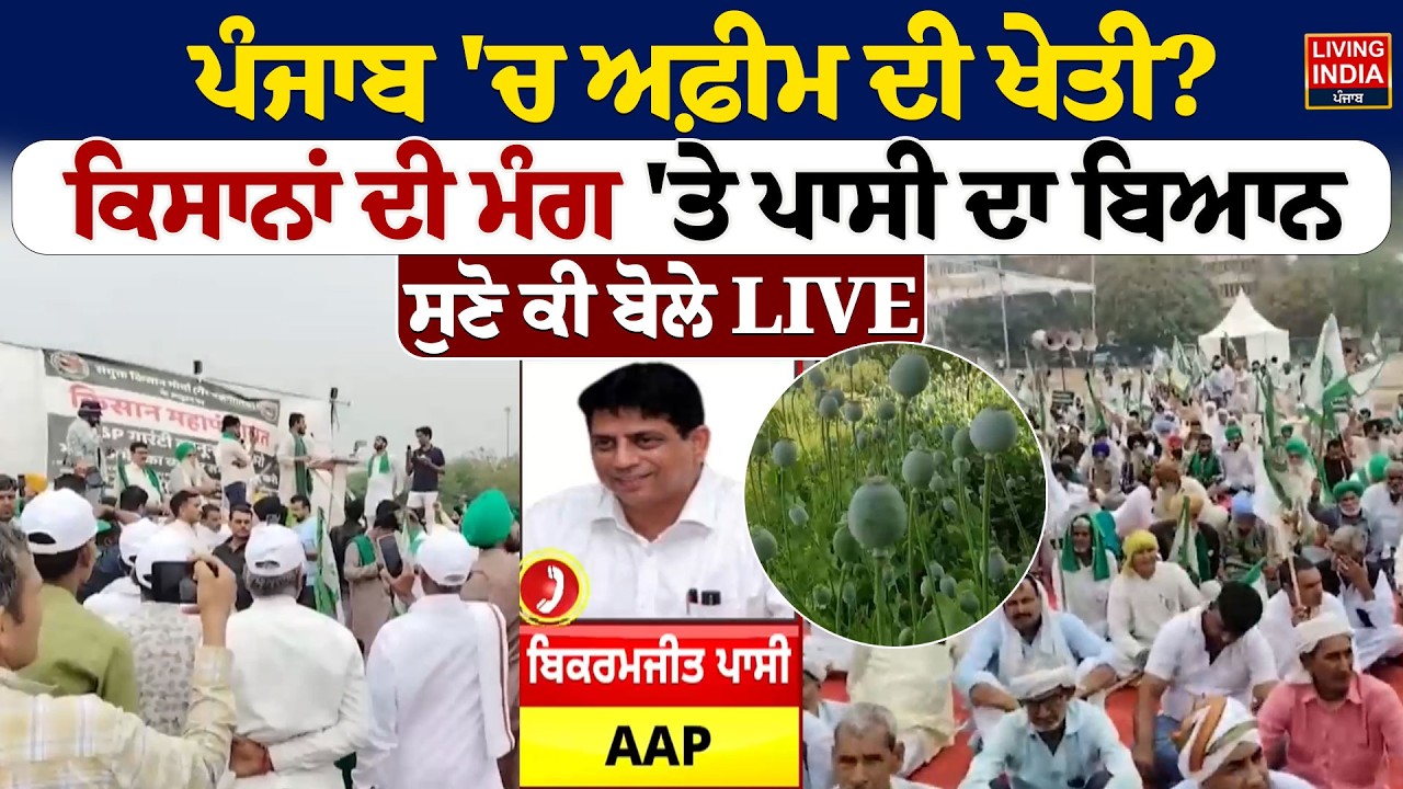 Punjab 'ਚ ਅਫ਼ੀਮ ਦੀ ਖੇਤੀ ? ਕਿਸਾਨਾਂ ਦੀ ਮੰਗ 'ਤੇ ਪਾਸੀ ਦਾ ਬਿਆਨ, ਸੁਣੋ ਕੀ ਬੋਲੇ LIVE | Punjab Farmer Protest