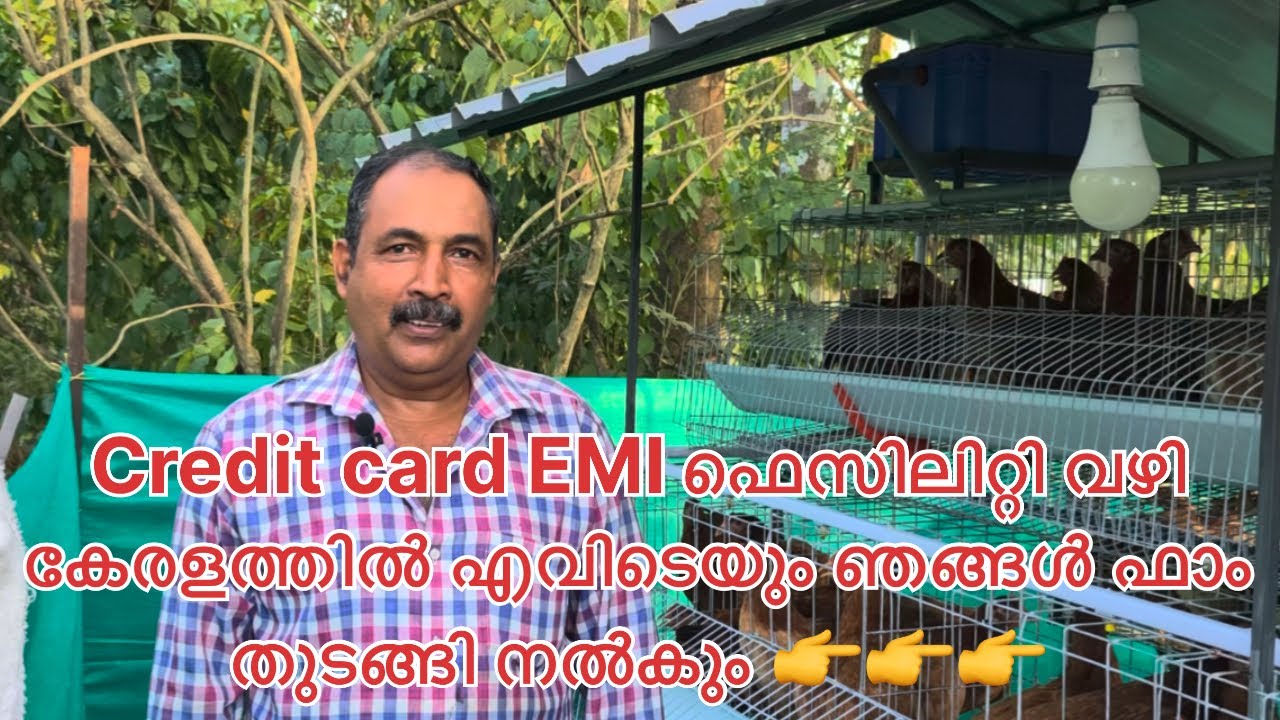 Creditcard ഉണ്ടെങ്കിൽ കോഴിക്കൂടും കോഴിയും വീട്ടിൽ വന്ന് നിർമ്മിച്ചു നൽകും call 8289812614,9562080551