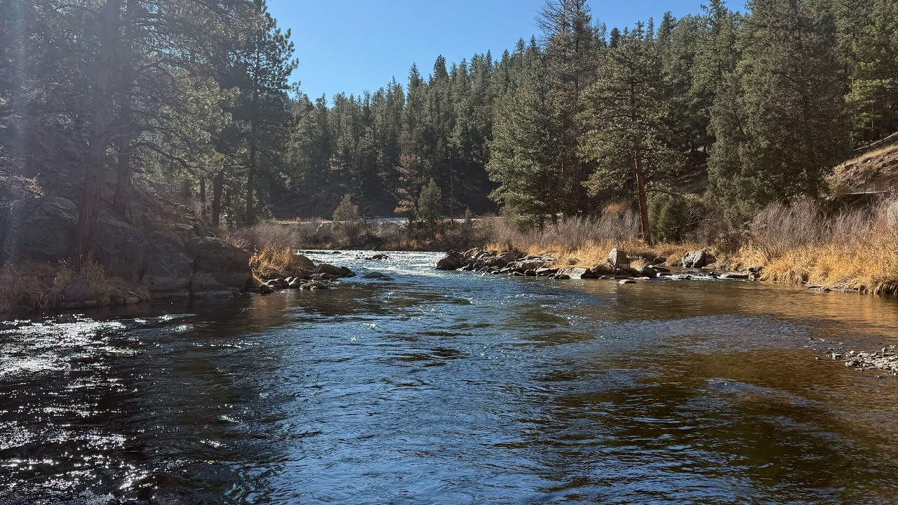 Winter Nymph Mission on the South Platte | Deckers, Colorado