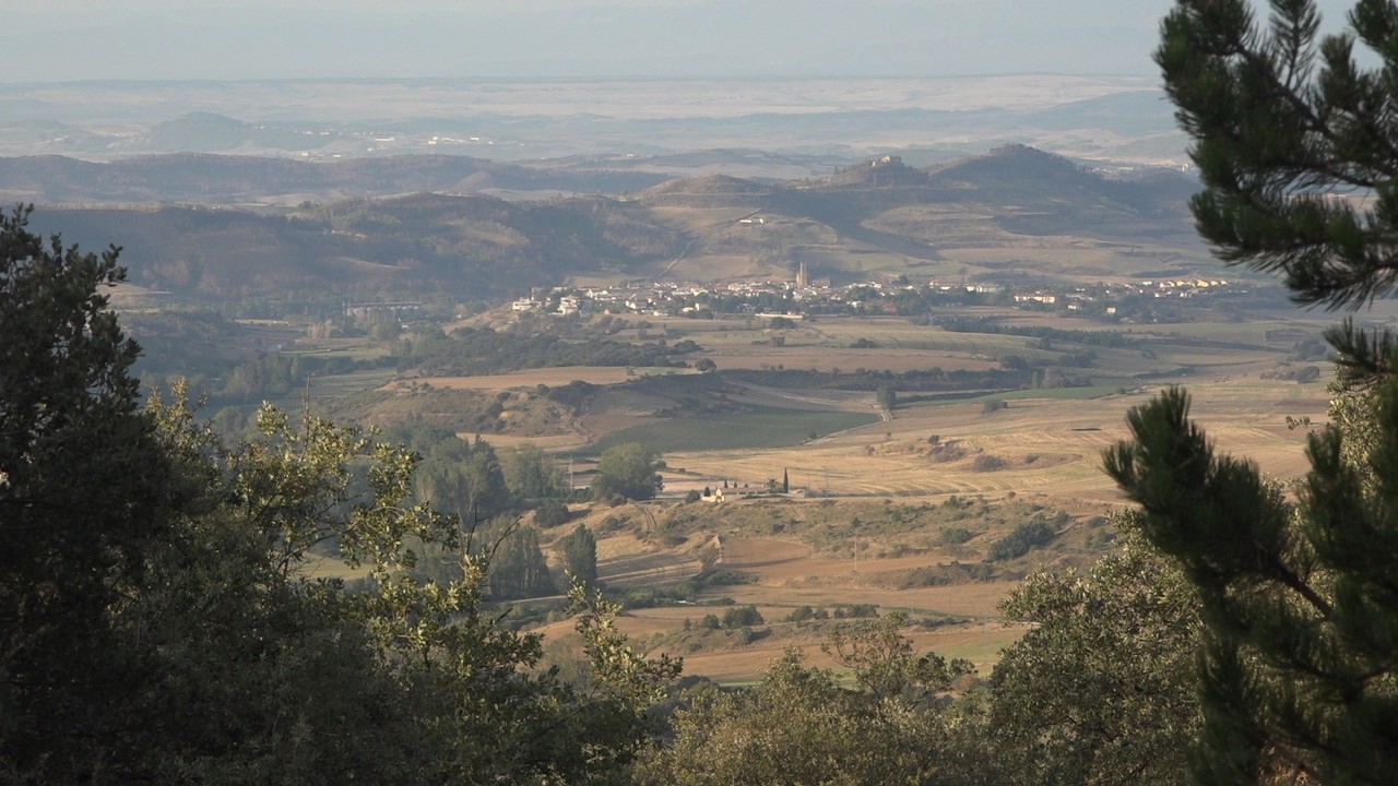 Radio Buen Camino part 133: from Zariquiegui till Mañeru