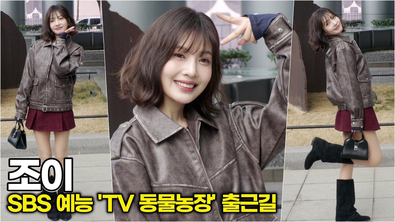 조이(Red Velvet), 시선 사로잡는 인형 같은 비율과 각선미 (SBS '동물농장' 출근길) #레드벨벳 #조이 #살색스타킹