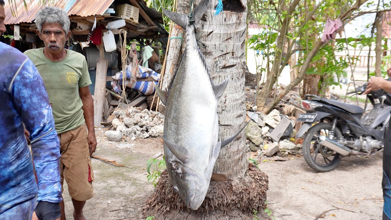 Di Balik Perburuan: Tradisi Memanah Ikan & Konservasi di Wakatobi, Indonesia