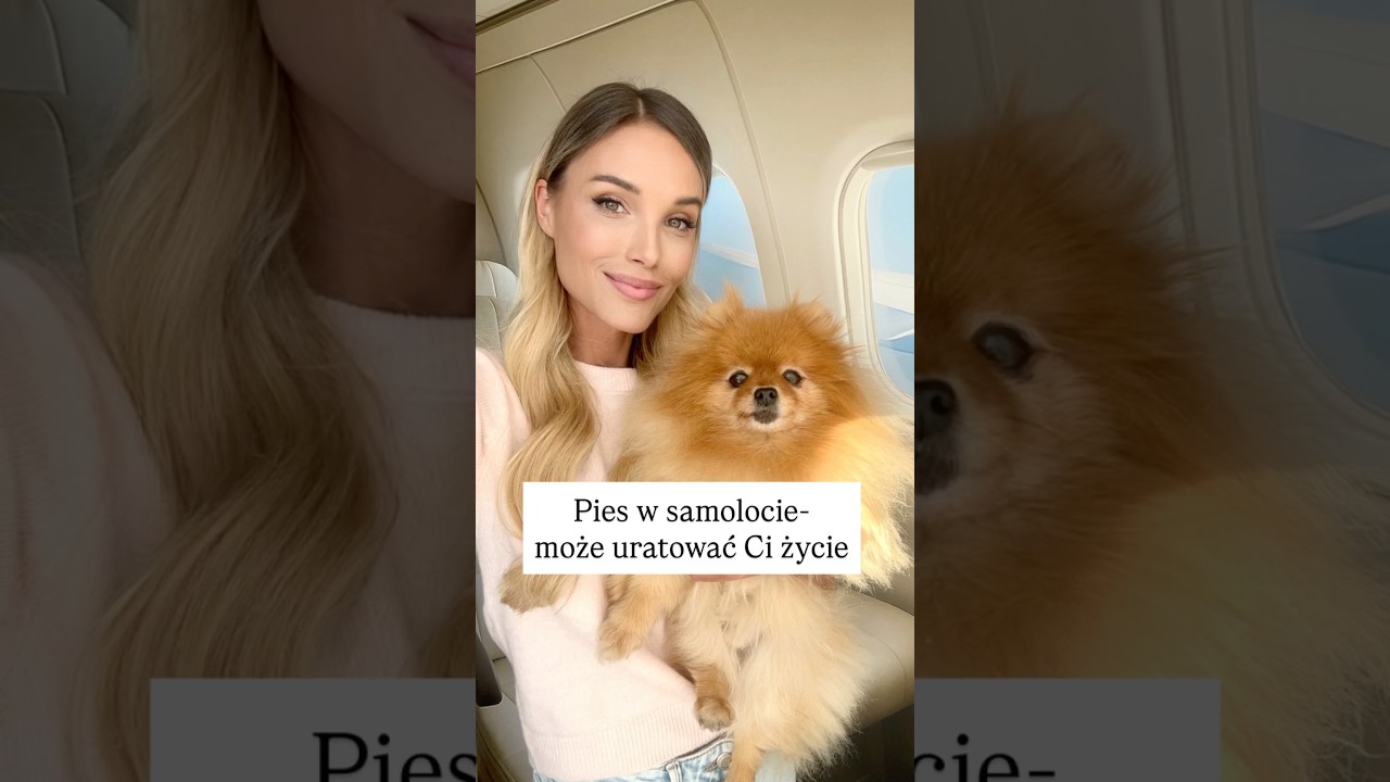 Wiesz, że pies w samolocie może uratować Ci życie? Jak latać razem z psem samolotem?👉link w bio📖
