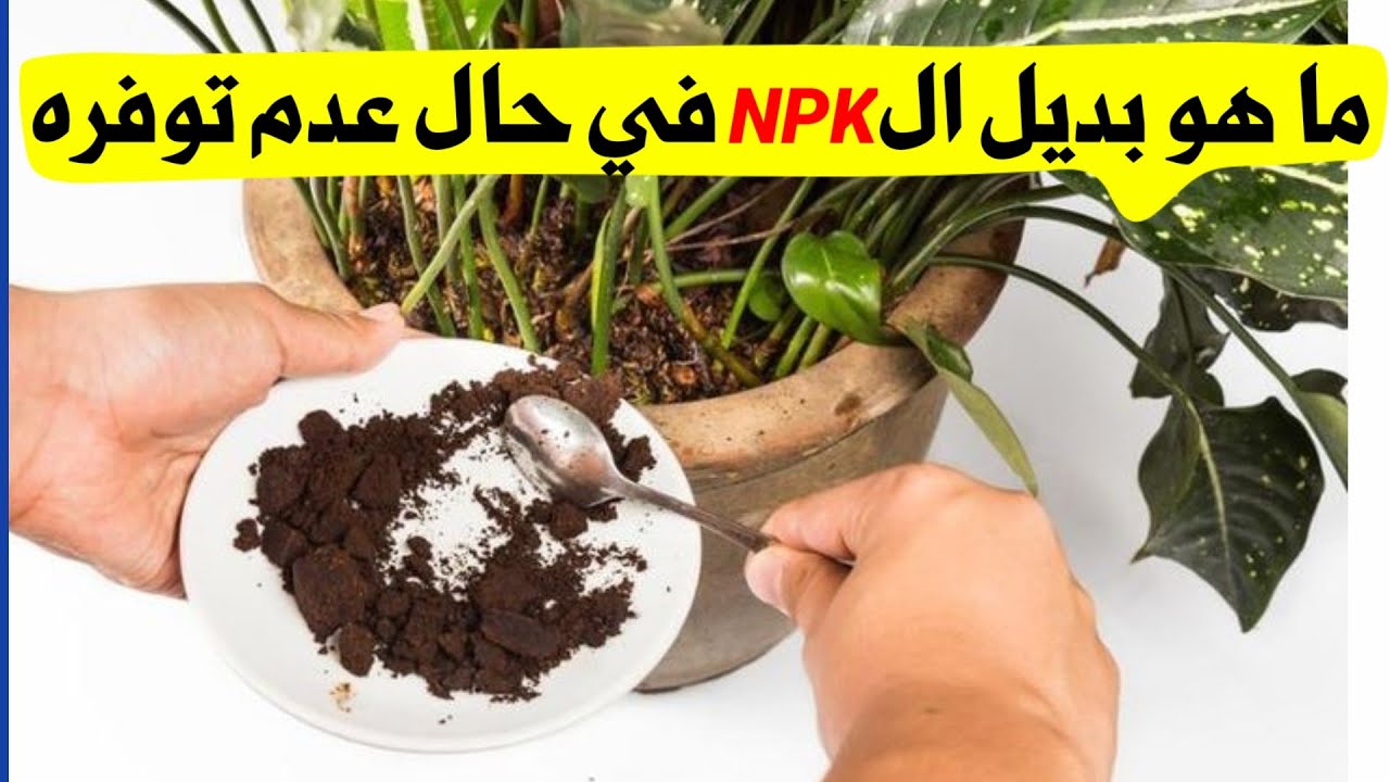 أقوى بدائل طبيعية لسماد  NPK 20 20 20