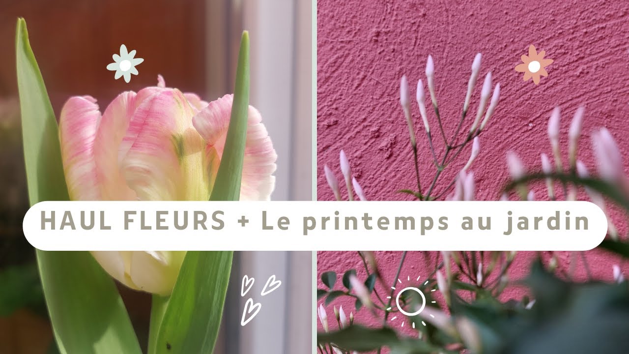 🌷HAUL FLEURS ~ C'est le PRINTEMPS au jardin 🌷