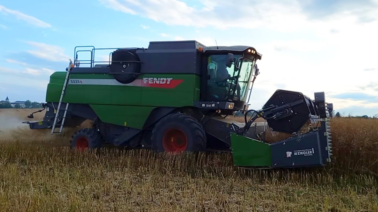 FENDT 5225 E Trebbiatura Colza | La treierat rapita | Valtra T 214 | Ziegler Header Harvester Canola