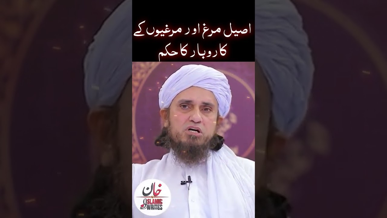 Aseel Murgh Ka Karobar | Mufti Tariq Masood New Bayan 2022 | Khan Islamic Writes