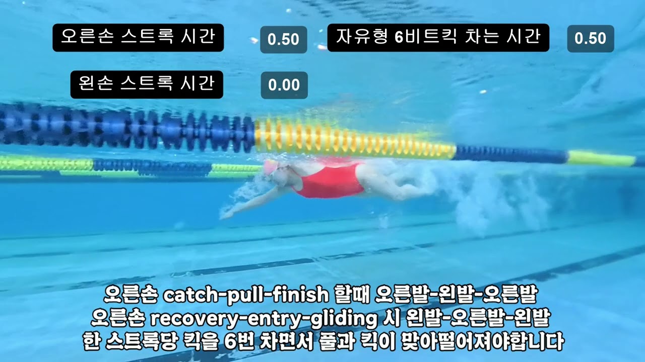 탁샘의 2026생체수영실기준비반 팀원 분석 영상 @Leau_swim 