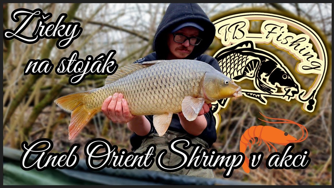 Z řeky na stoj&aacute;k aneb Orient Shrimp v akci