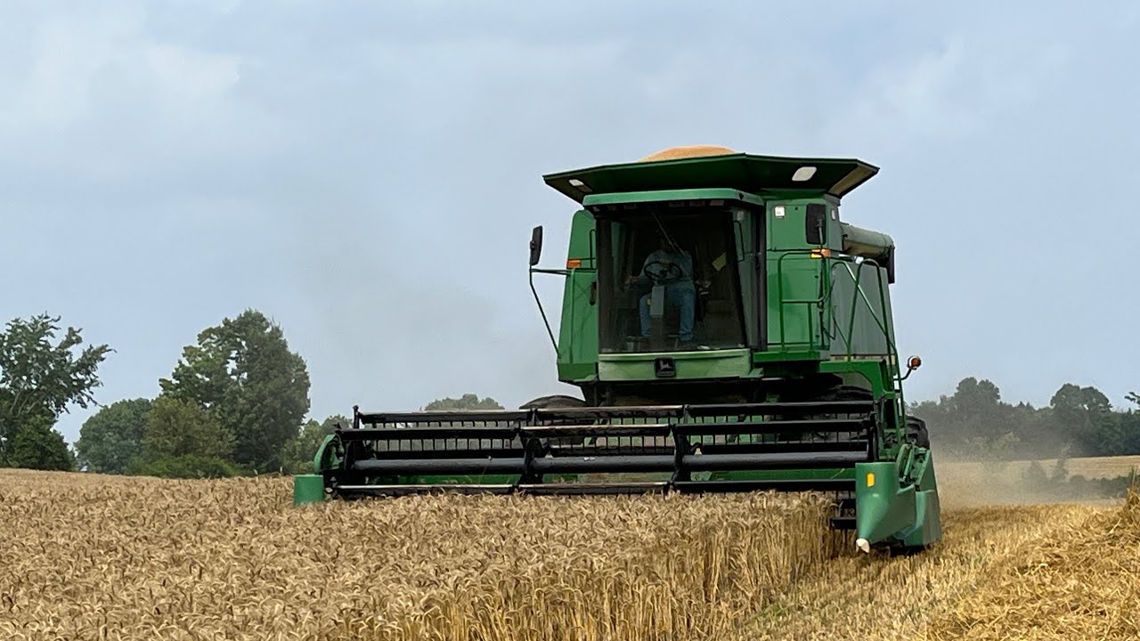 John Deere 9500 Combining 2023 Wheat