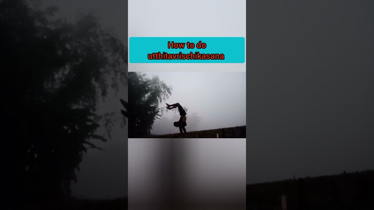 #howtodoyoga #Utthitavrischikadana #viralvideo #yogareels @Vyayamaguru