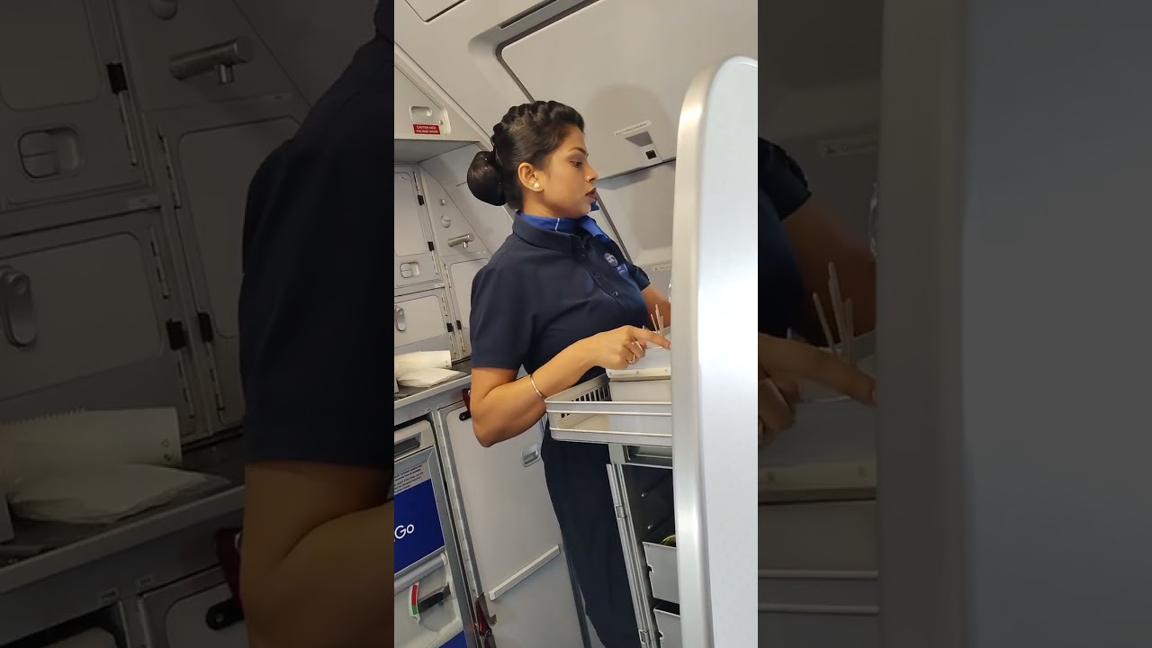 Goa airlines (5)