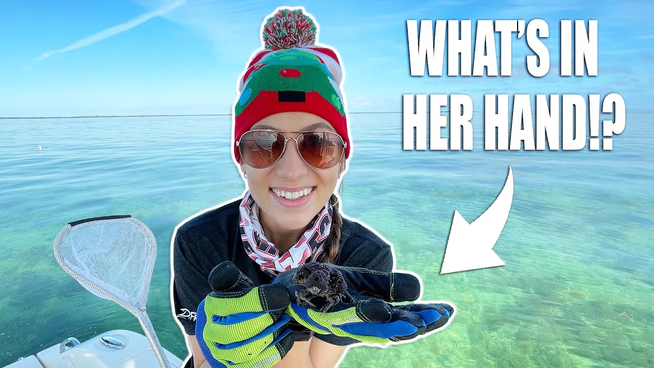 Christmas Crabbing GIVEAWAY! We have *NEVER* found THIS before!