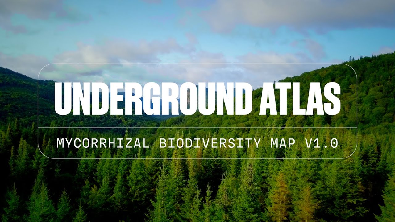 The Science Behind SPUN’s Underground Atlas