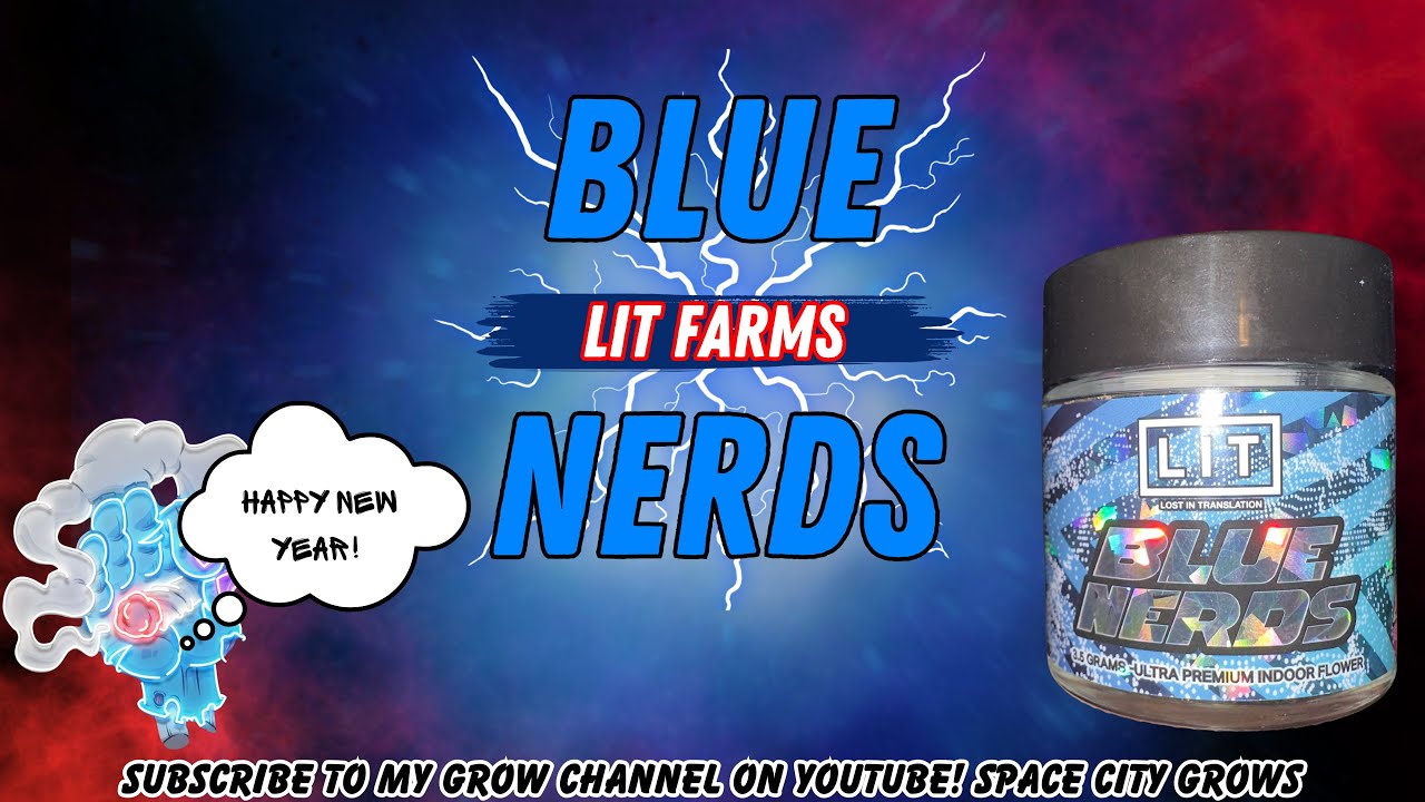 LIT FARMS STRAIN REVIEW: Blue Nerds (🍭⛽️💨) This Some Heat! Happy New Year! 2025🎉🥳🎊🍾