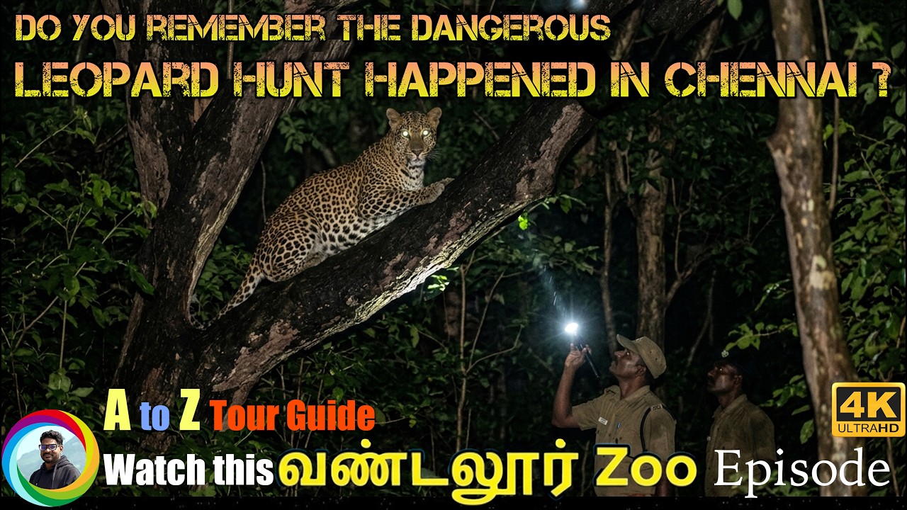 Inside Vandalur Hidden Forest! 🛑  காட்ல தேடுன அரிய விலங்கு Vandalur ல?! 😱 யாரும் பார்க்காத secret!