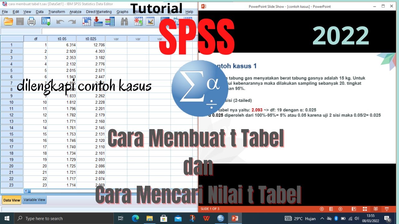 Cara Membuat t Tabel di SPSS dan Cara Mencari Nilai t Tabel (dilengkapi contoh kasus)