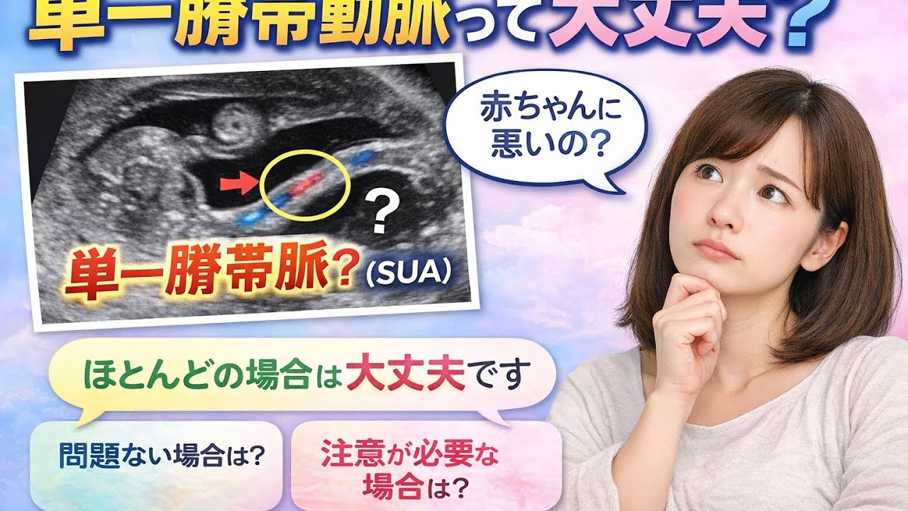 単一臍帯動脈（SUA）とは？｜妊婦さんのためのわかりやすい解説【産婦人科医が説明】