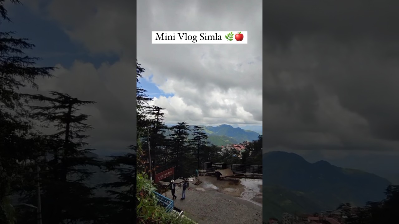 Mini Vlog Simla 😍❤️ 