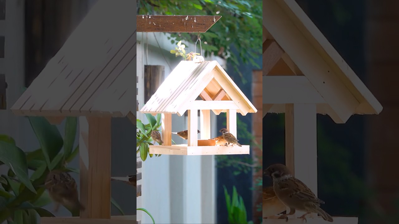 Relaxing DIY: Building a Beautiful Bird House & Feeder in Nature 🌿🐦 #DIYBirdHouse #BirdFeeder