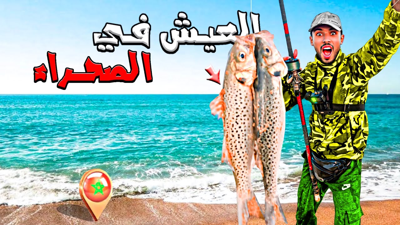 العيش الحر:تحدي الصيد وطبخ في بحر مهجور في الصحراء المغربية