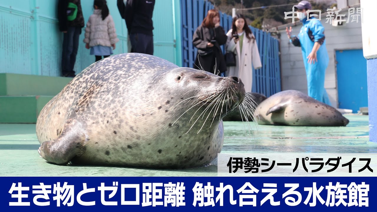 神出鬼没、展示スペースを飛び出す生き物たち　伊勢シーパラダイス