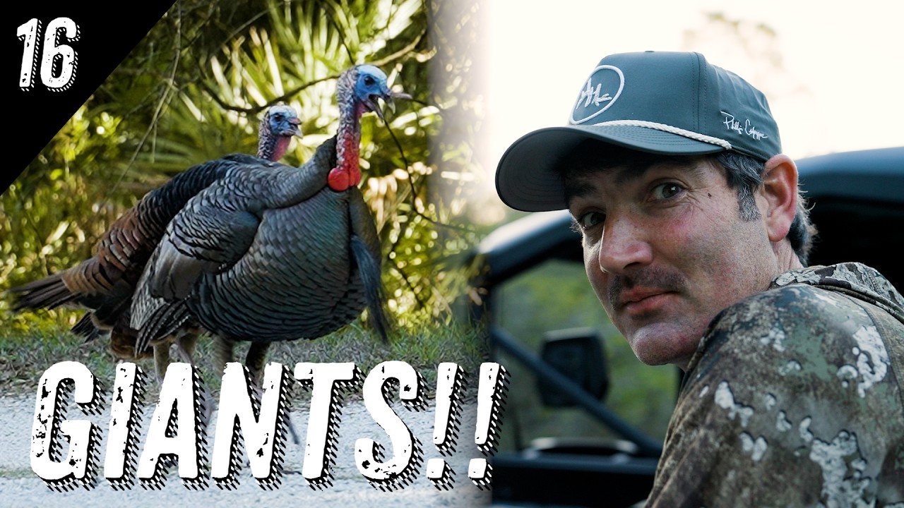 AGGRESSIVE TURKEY HUNTING in the AFTERNOON  |  QUAIL CREEK LODGE with JACK LINKS