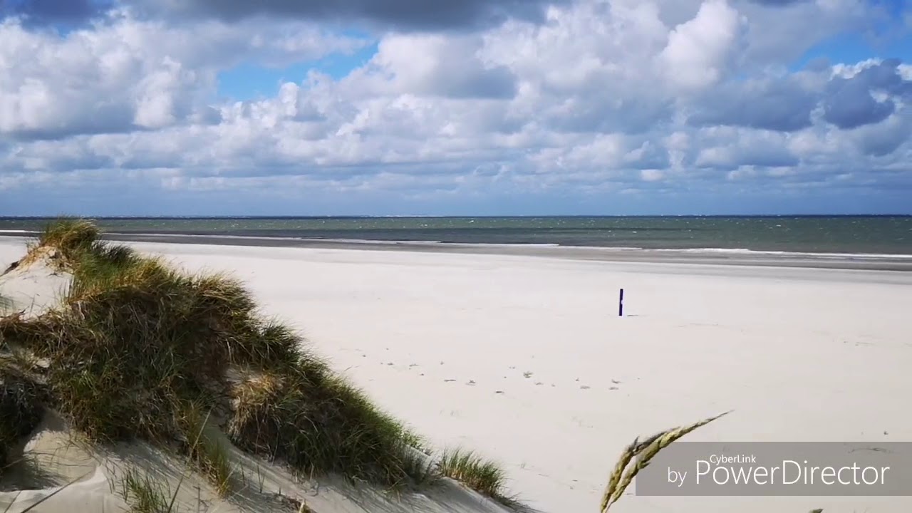Borkum's Wilde Natur.