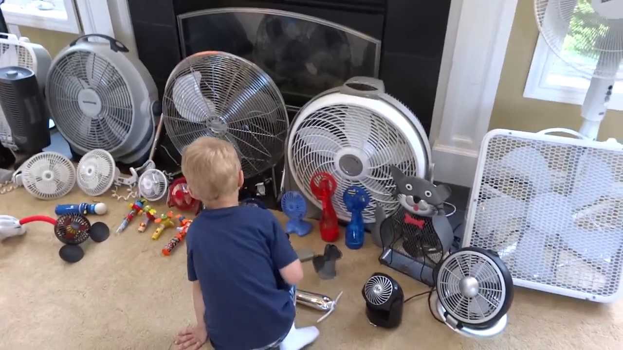 Joseph's fan collection (age 3 1/2)