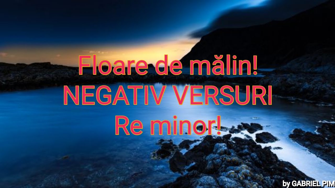 Floare de malin! NEGATIV VERSURI Re minor! COVER