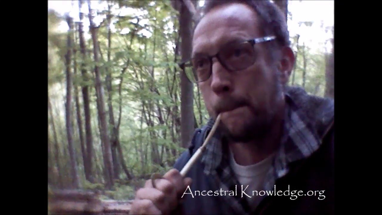 Turkey Calling - Ancestral Knowledge
