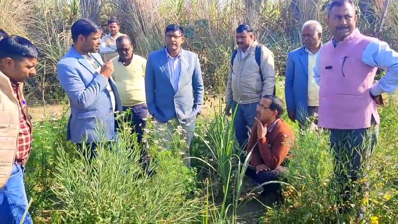 गन्ना प्रजाति पहचान परीक्षण अभियान।#गन्नाखेती#modernfarmer#village#nature#किसान#sugarproduction 