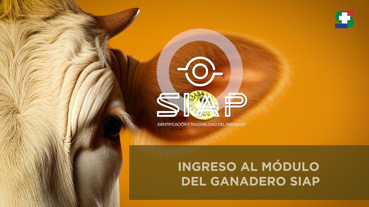 MODULO SIAP | INGRESO AL MÓDULO DEL SISTEMA DE IDENTIFICACIÓN ANIMAL DEL PARAGUAY