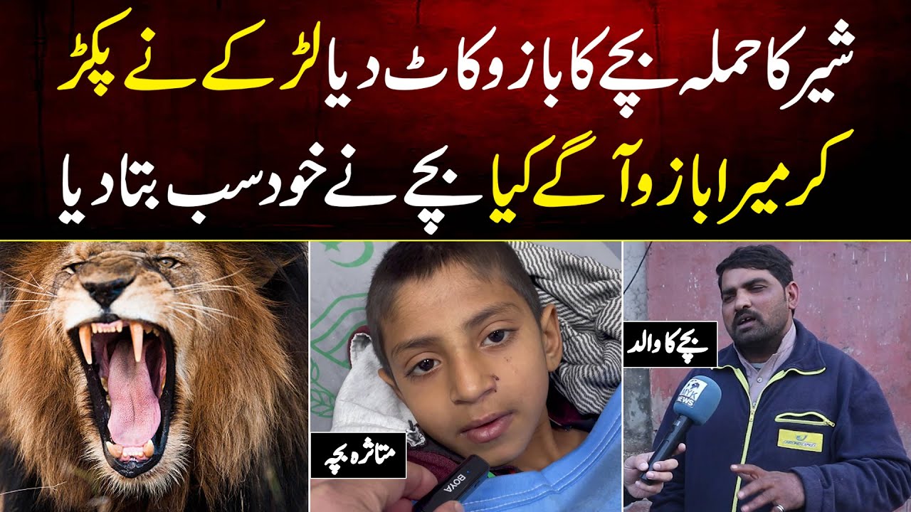Shair Ka Hamla Bache Ka Bazo Kaat Diya Larke Ne Pakar Kar Mera Bazo Agay Kiya Bache Ne Khud Sb Btaya