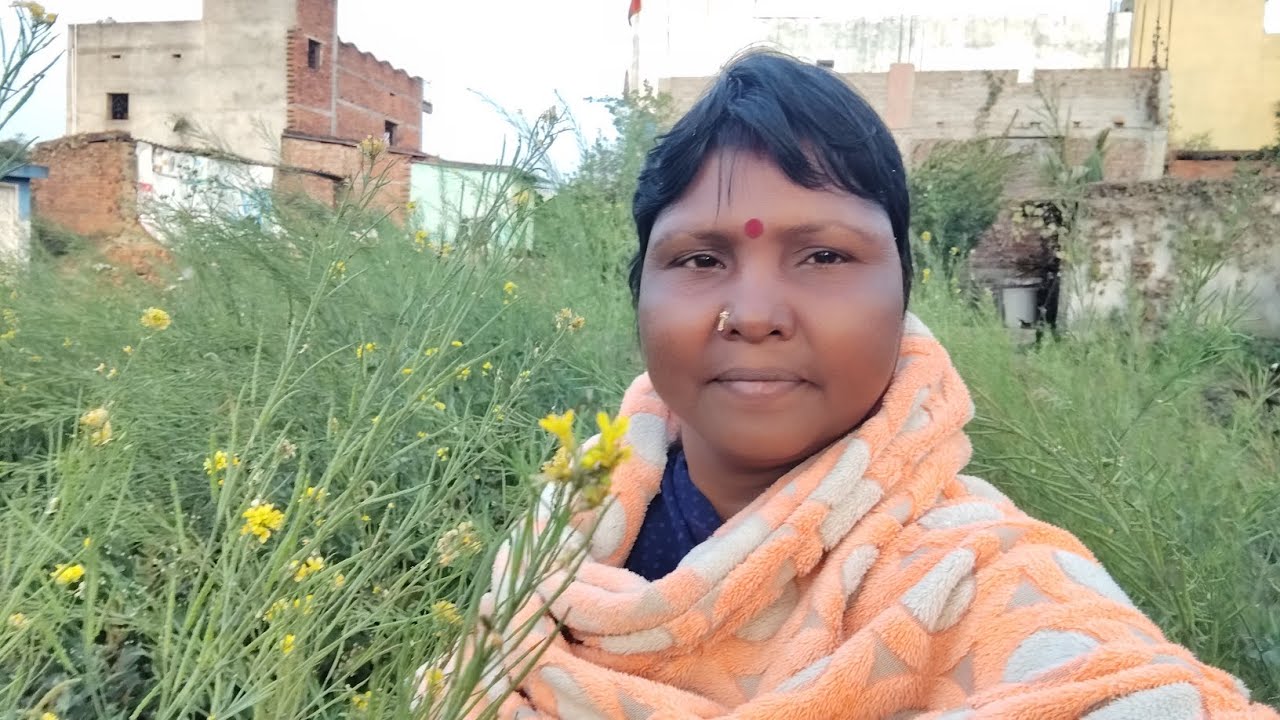 Sarso ka khet #sarso ka beej# trending.. 