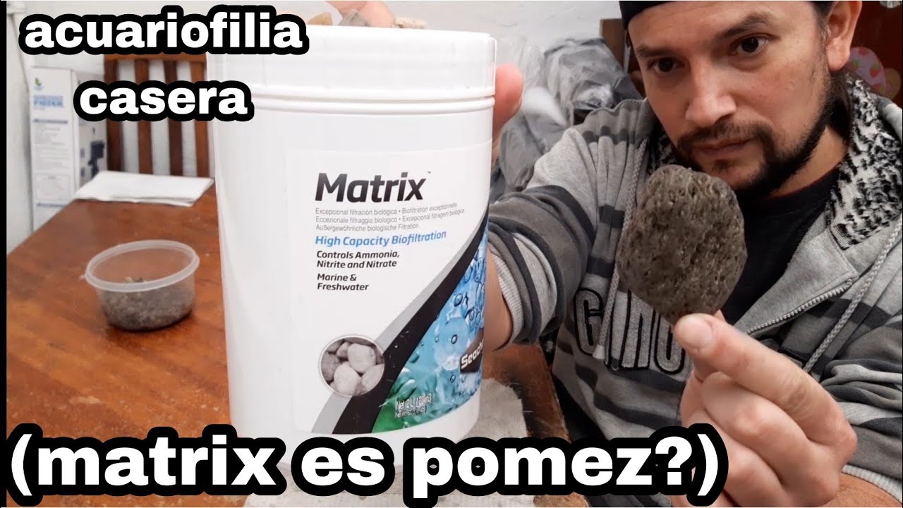 piedra pomez (el mejor material filtrante biológico para nuestros acuarios)