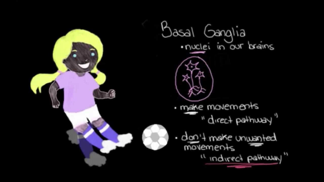 Khan Academy - The Basal Ganglia: Concepts of the Indirect Pathway