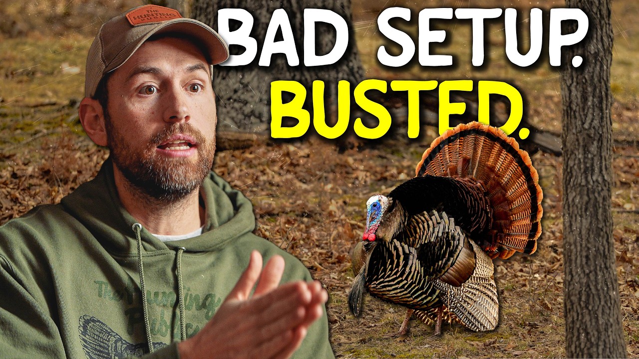 Turkeys Know Exactly Where You’re Sitting