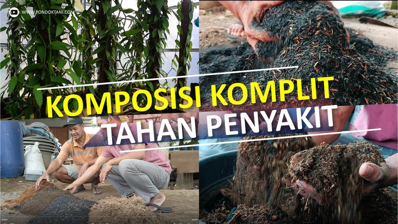 Memilih Media Tanam Vanili Dalam Pot