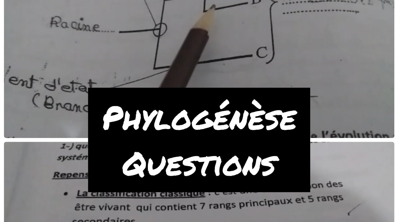 Préparation examen floristique-phylogénèse